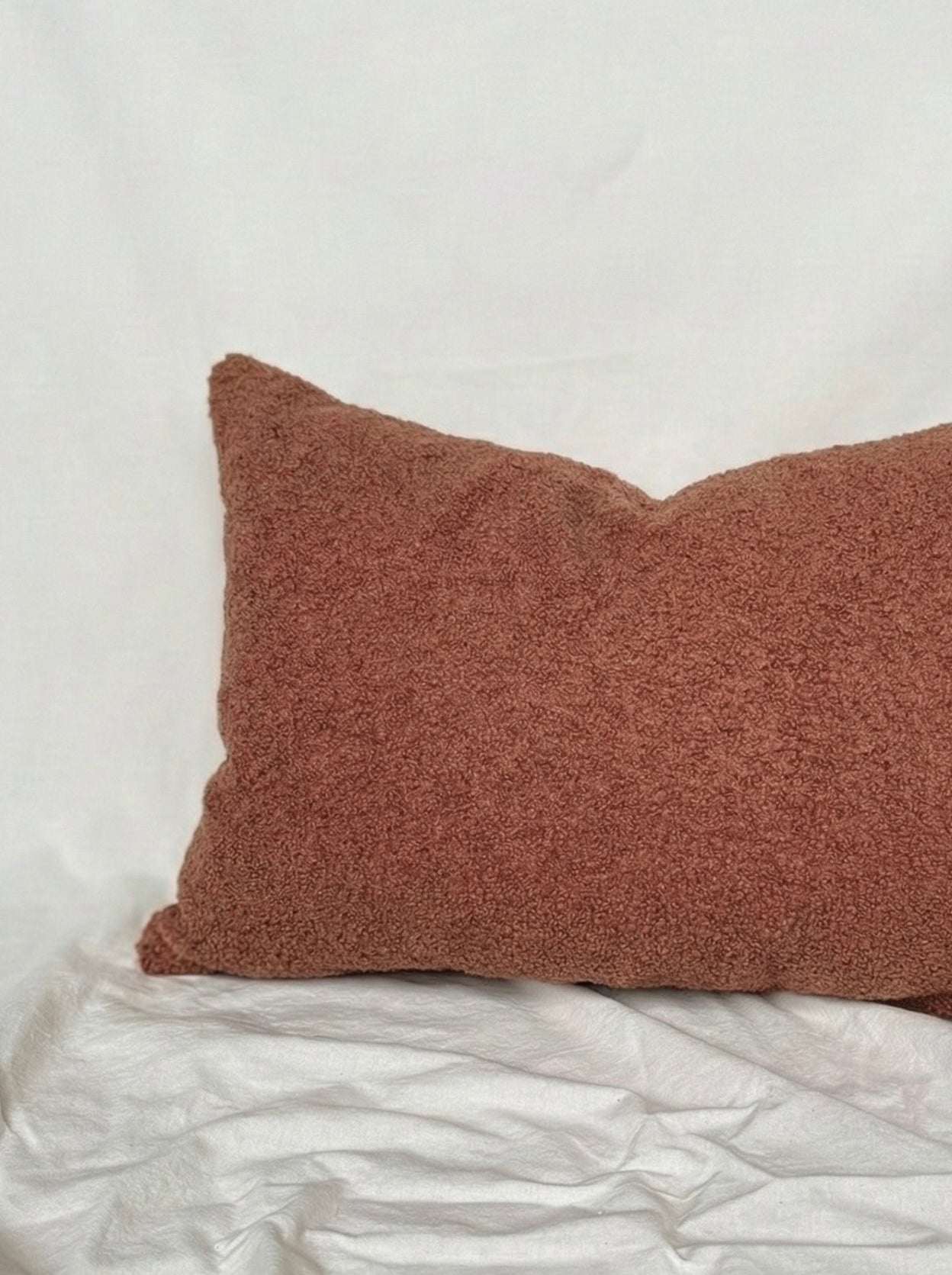 Teddy Briquet cushion